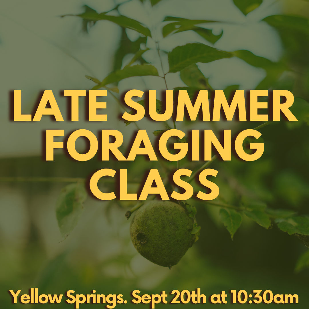 Late Summer Foraging Class 