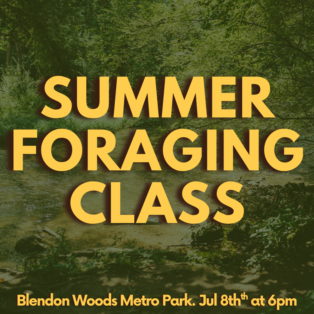 Summer Foraging Class 