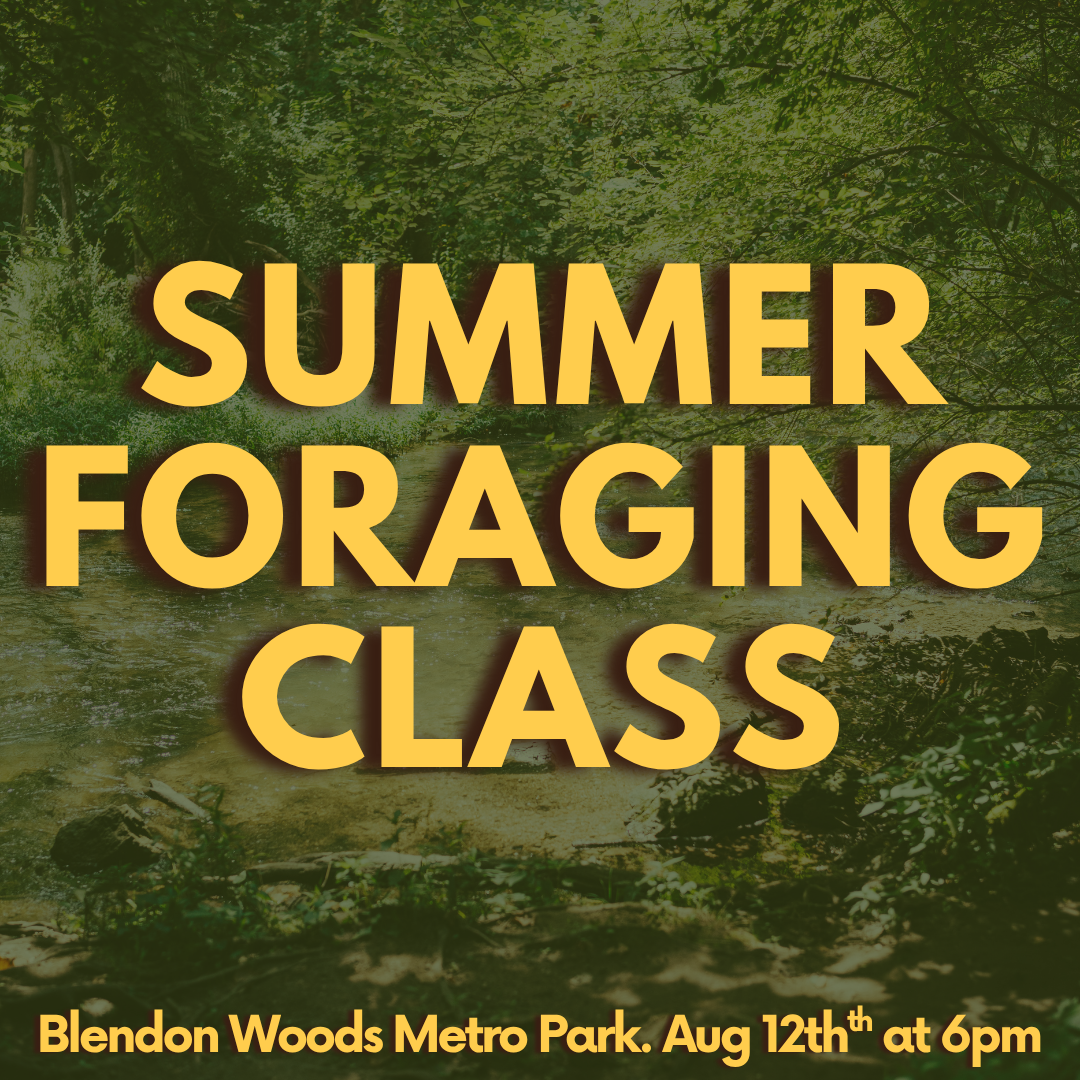Spring foraging classes (4).png