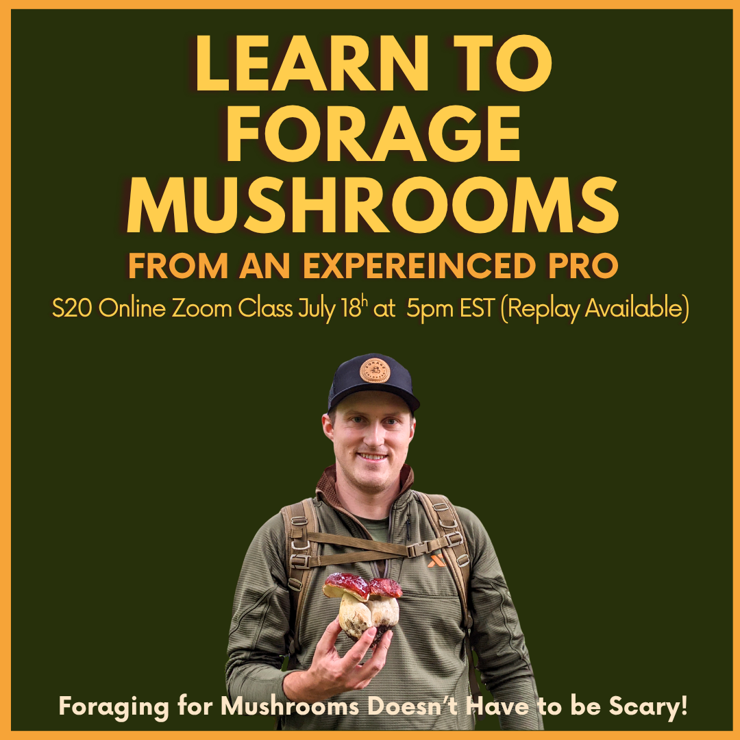 Spring foraging classes (5).png