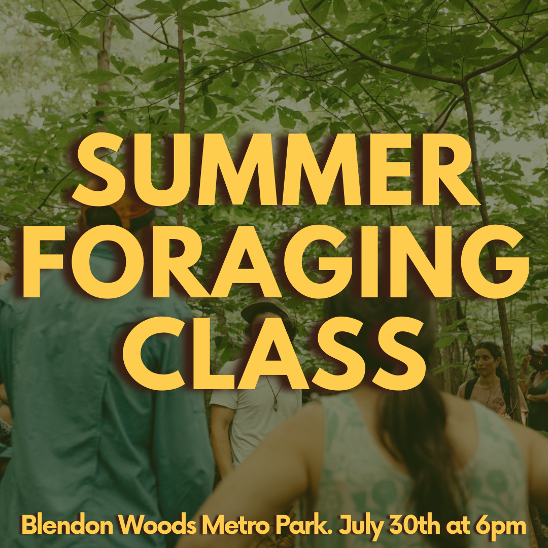 Spring foraging classes (7).png