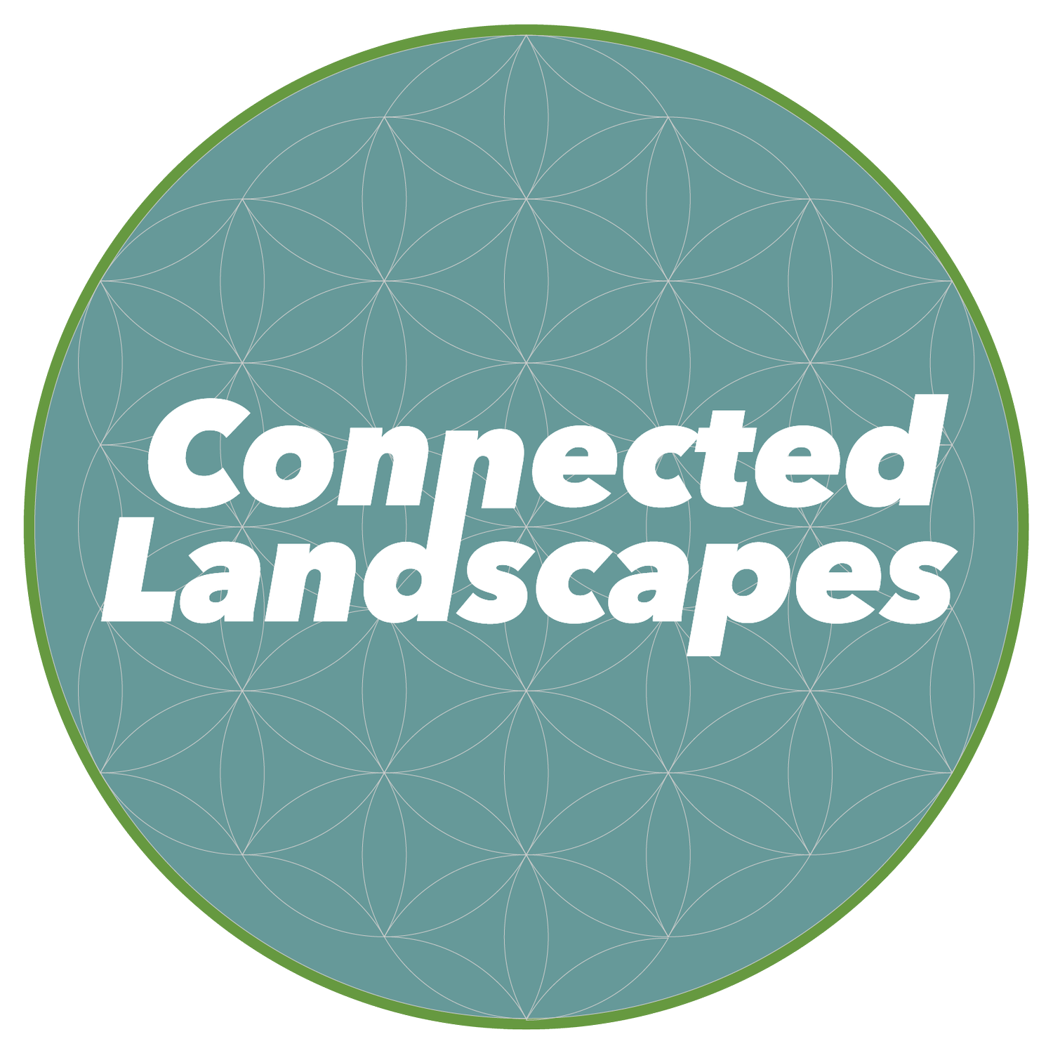 Connected Landscapes