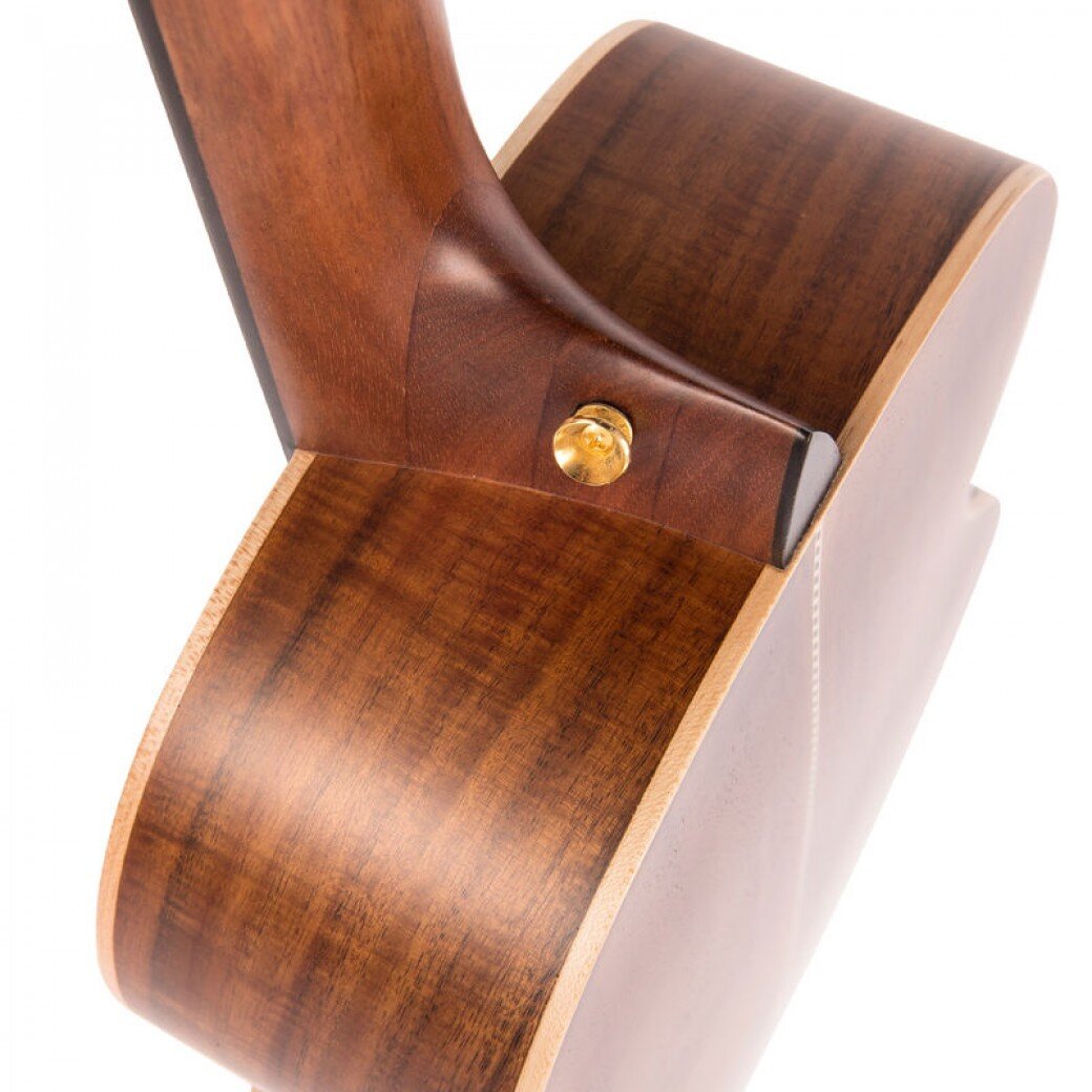 VE880PB_VINTAGE_PAUL_BRETT_SIGNATURE_E_A_GUITAR_6_STRING_CASE_4.jpg