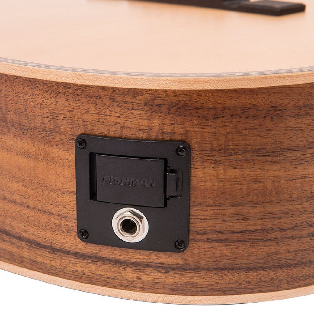 VE880PB_VINTAGE_PAUL_BRETT_SIGNATURE_E_A_GUITAR_6_STRING_CASE_8.jpg