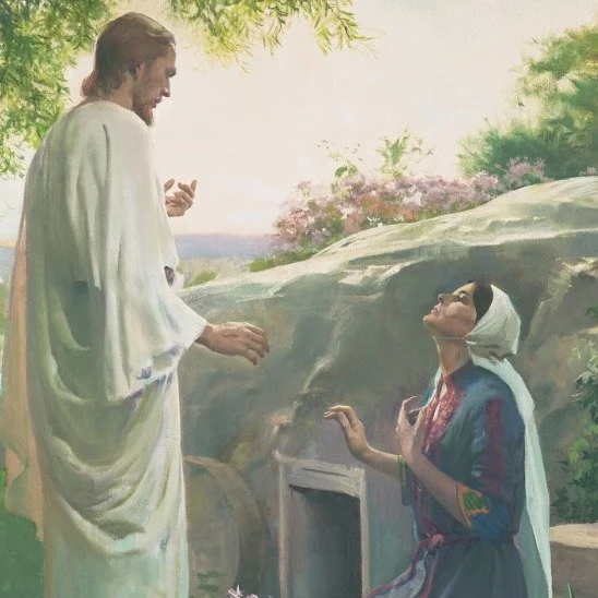 Join Us for General Conference

Saturday April 4 and Sunday April 5 at the Santa Maria Stake Center.

Bring a friend--the missionaries will be there to answer questions!

9:00 a.m. to 11:00 a.m. 
(English) Primary Room
(Spanish) Relief Society Room

