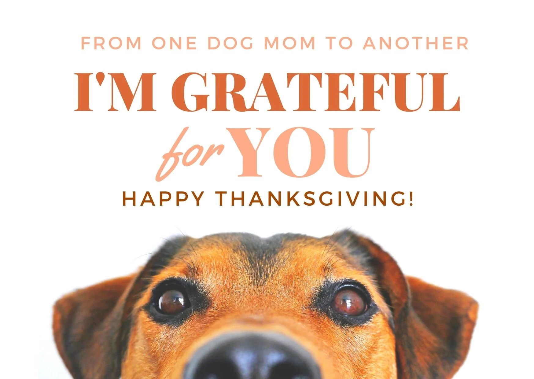 11 ways to enjoy Thanksgiving in 2020