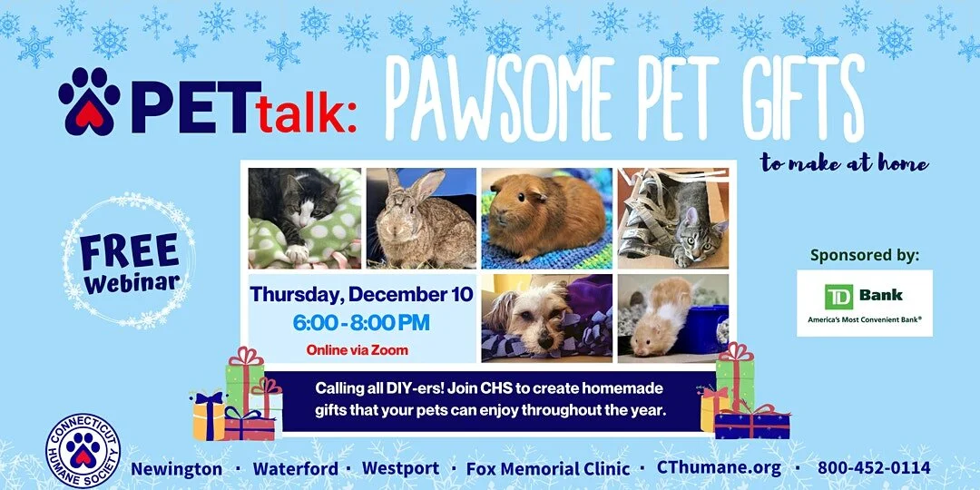 Webinar: Pawsome Pet Gifts