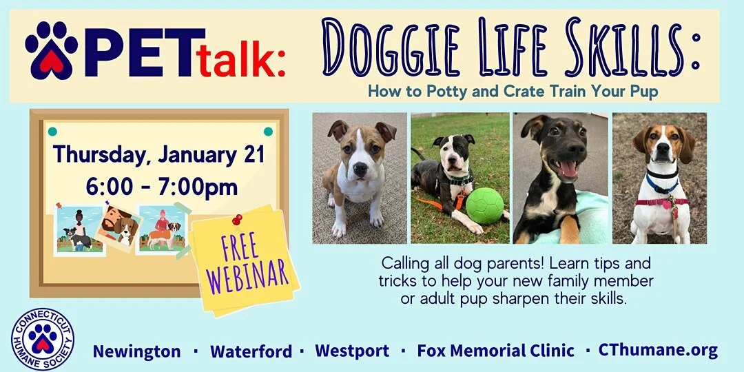 PETtalk: Doggie Life Skills - How to Potty and Crate Train Your Pup