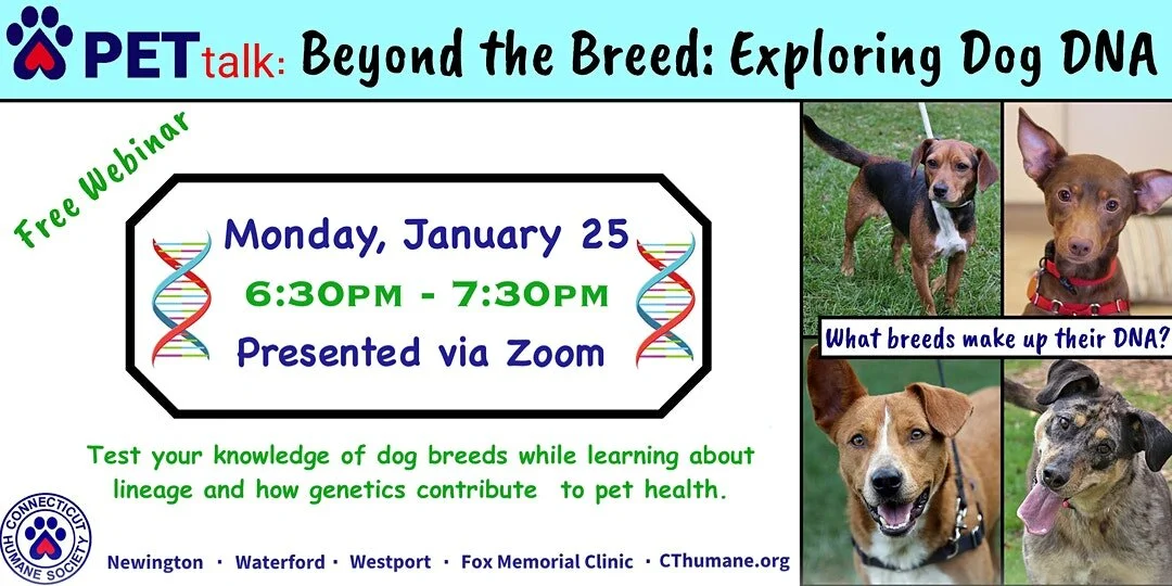 Beyond the Breed: Exploring Dog DNA Lucy Robbins Welles Library