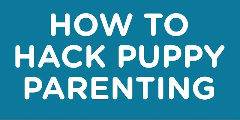 How to Hack Puppy Parenting-All About Dog Heath and Socialization