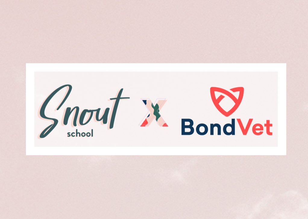 Puppies & Pilates: Snout School x BondVet
