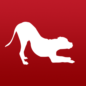 Prep School - School for the Dogs
