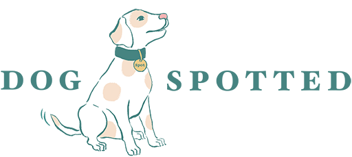 Dog Spotted presents National Therapy Animal Day with the New York Therapy Animal Organization