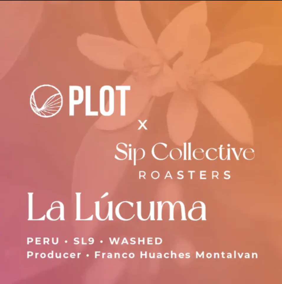 Coffee bag label for La Lúcuma coffee, produced by Sip Collective Roasters from Peru, washed processing method, producer Franco Huaches Montalvan.