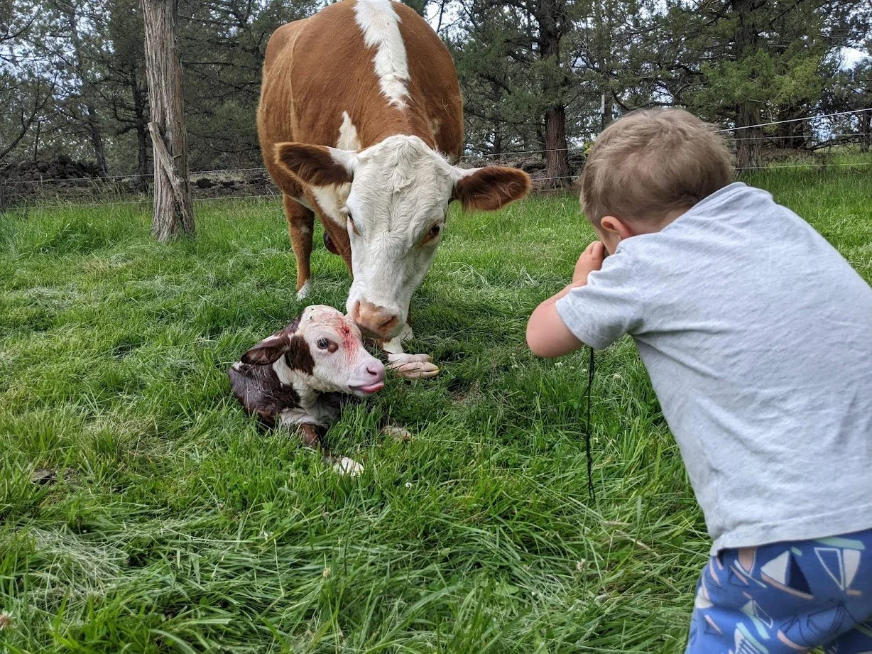 6_18firstcalffathersdaylilginclancybinos.JPG