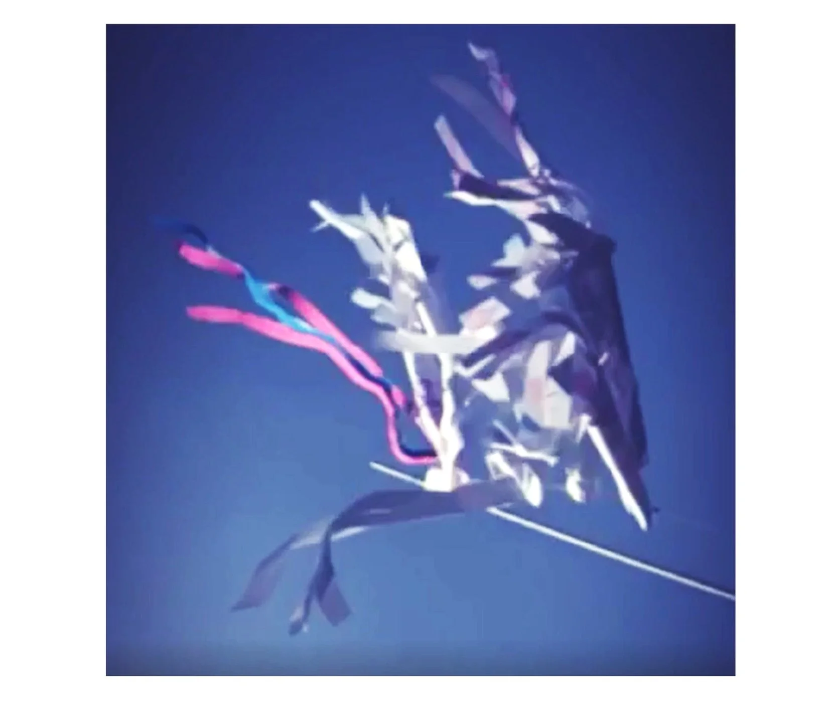 Fish Kites