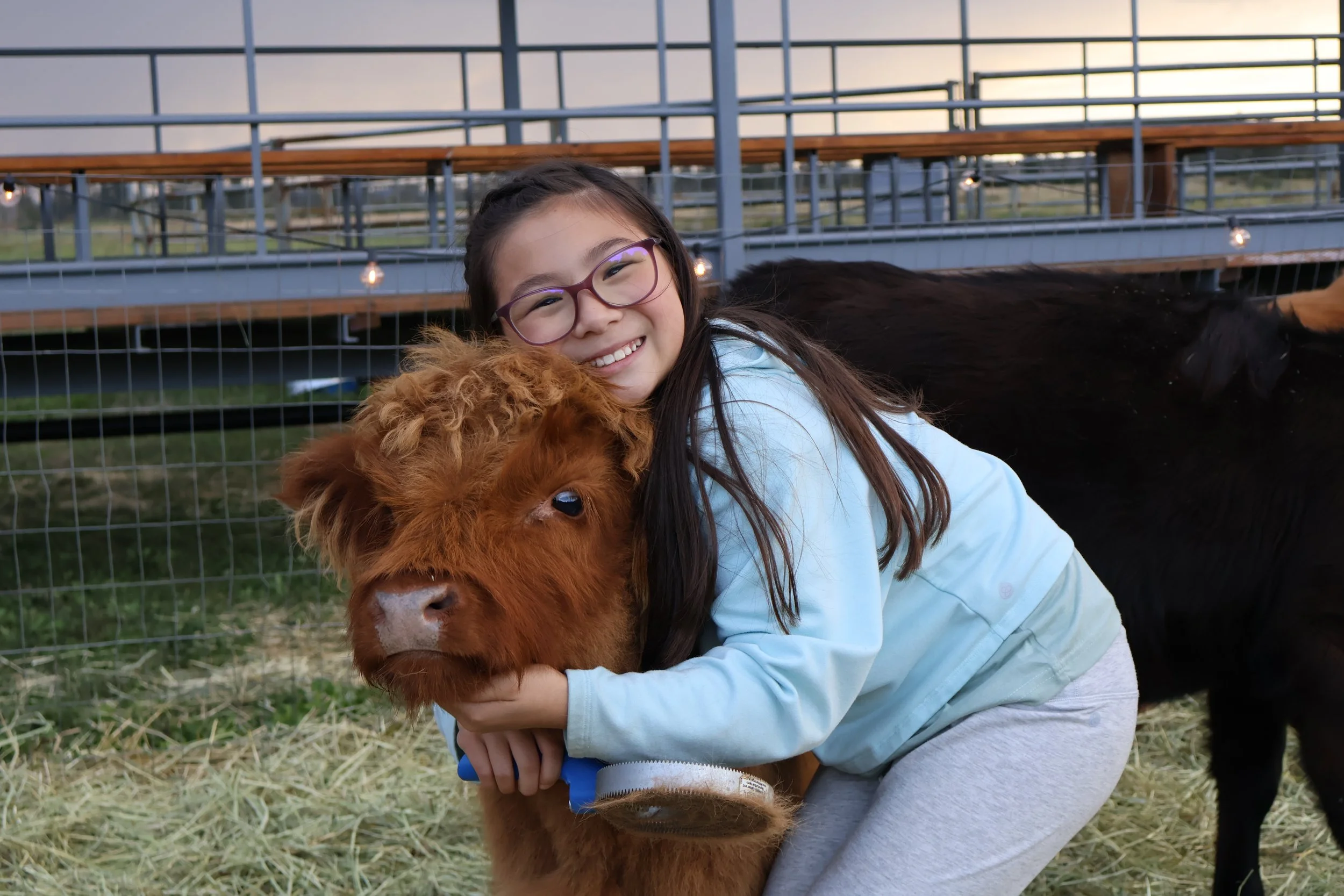 Classroom Field Trips