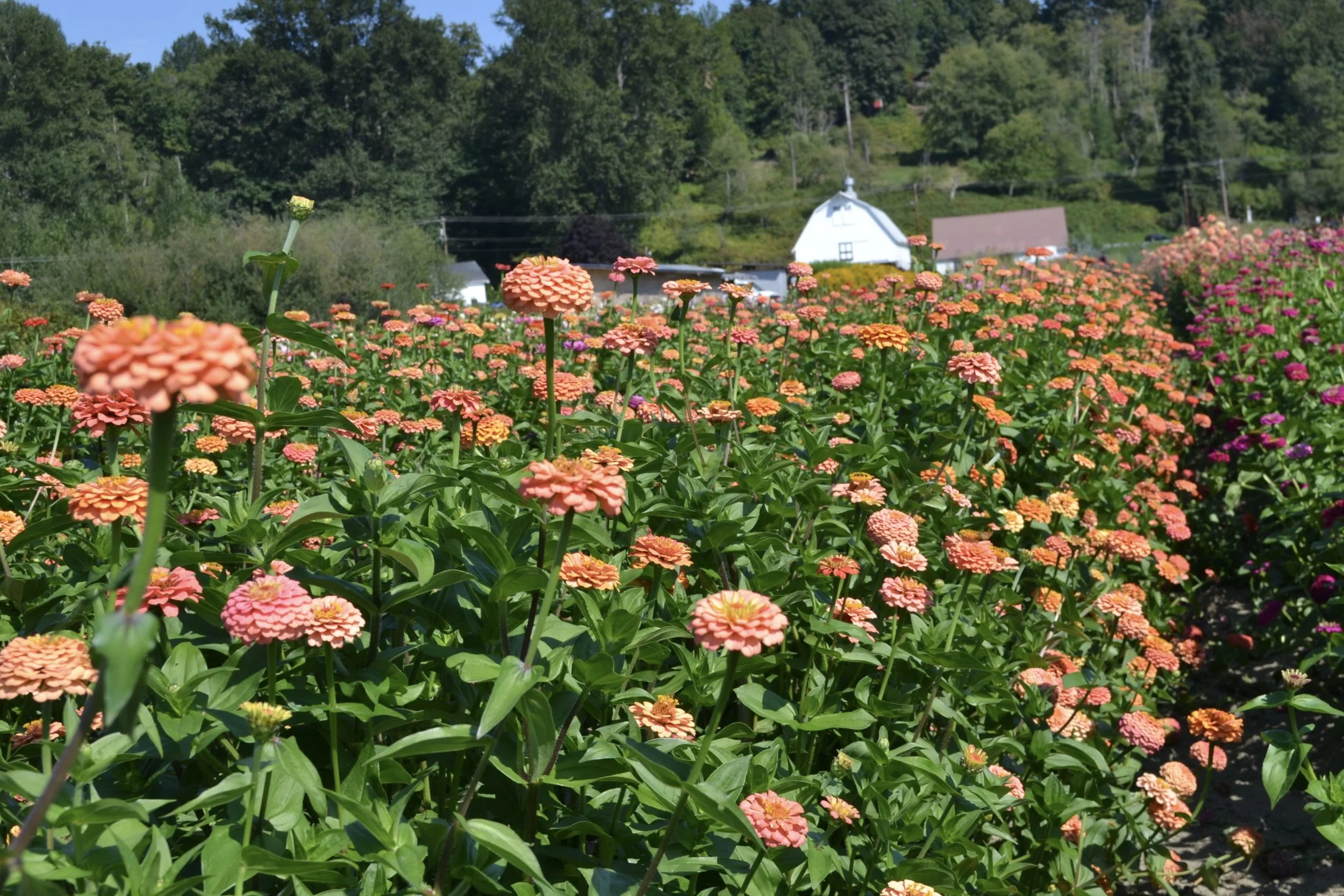 Photo Aug 25 2025, 15 05 10.jpg