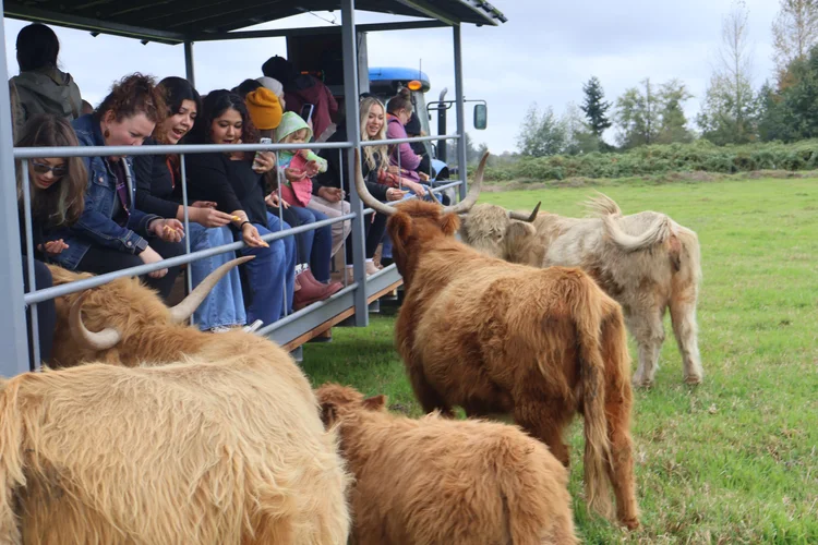 Corporate Events Image 2