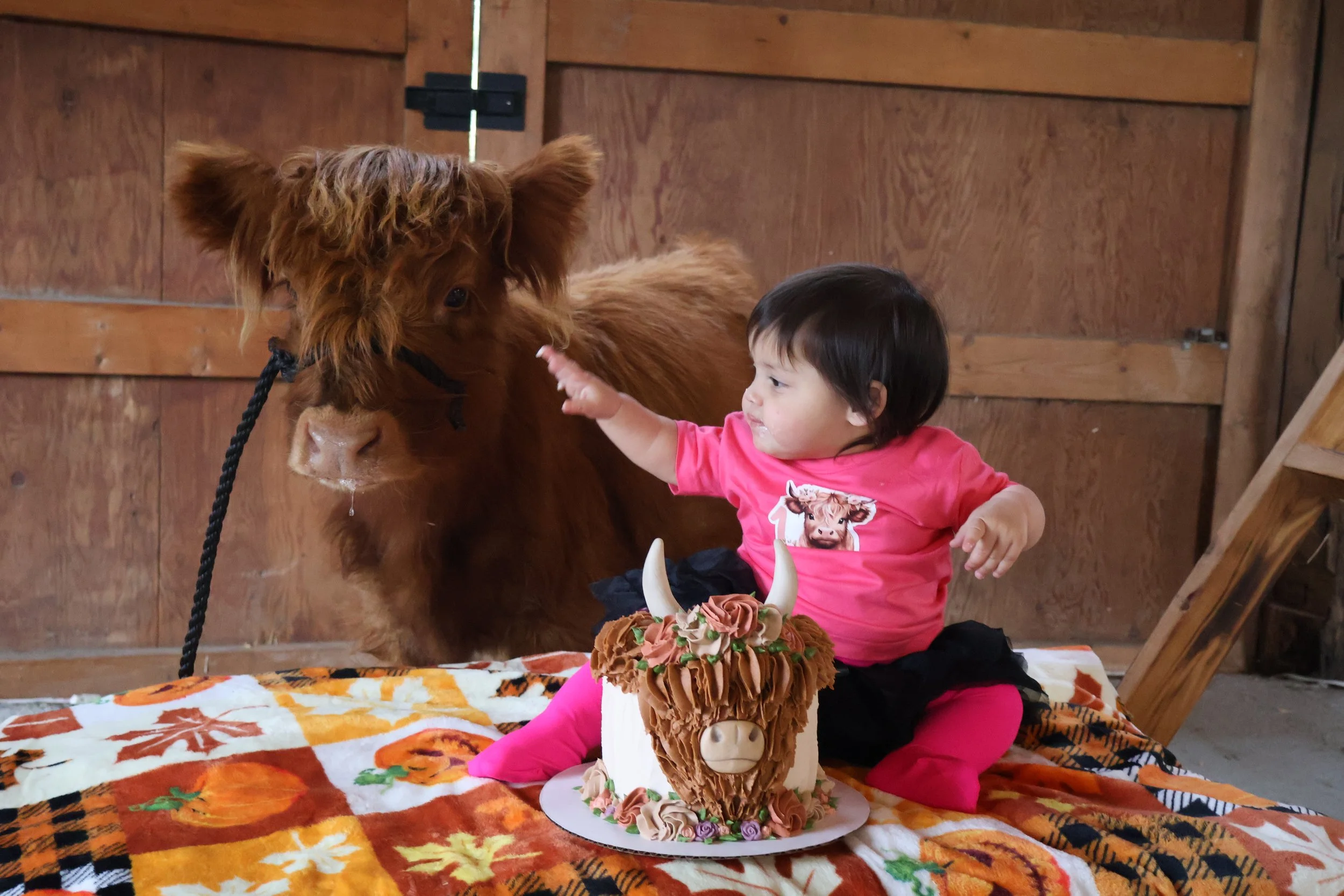 Birthday Party Image 2