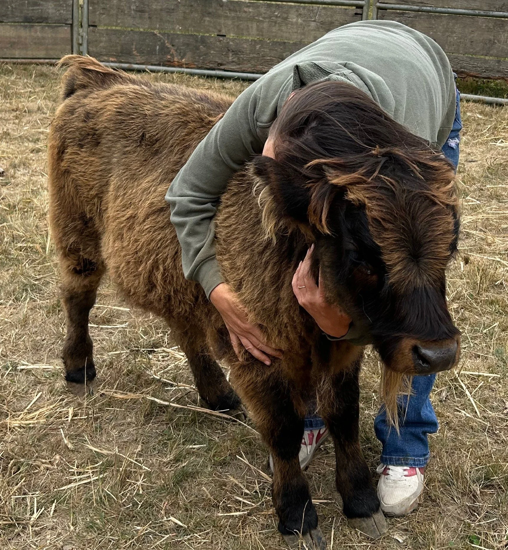 Photo Jul 25 2025, 11 00 46.JPG