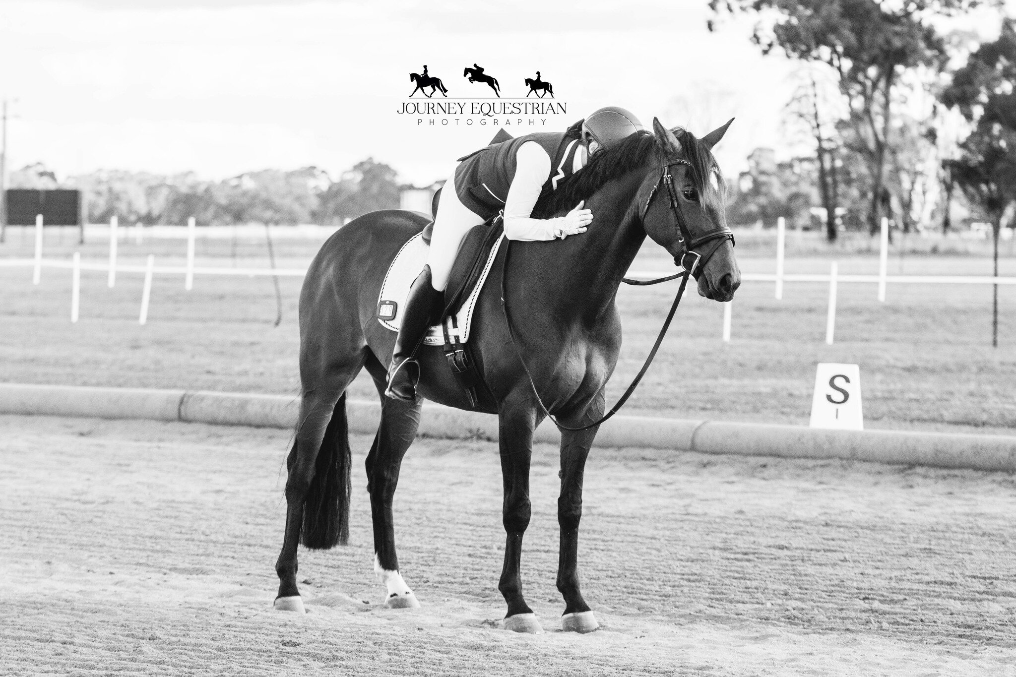 Who&rsquo;s riding at Ballan &amp; District Adult Riders Club Dressage day this Friday 12th May? 

📸I will be there camera in hand, If you would like me to photograph your test please Dm me you rider number and times! 

📝If you would like to receiv