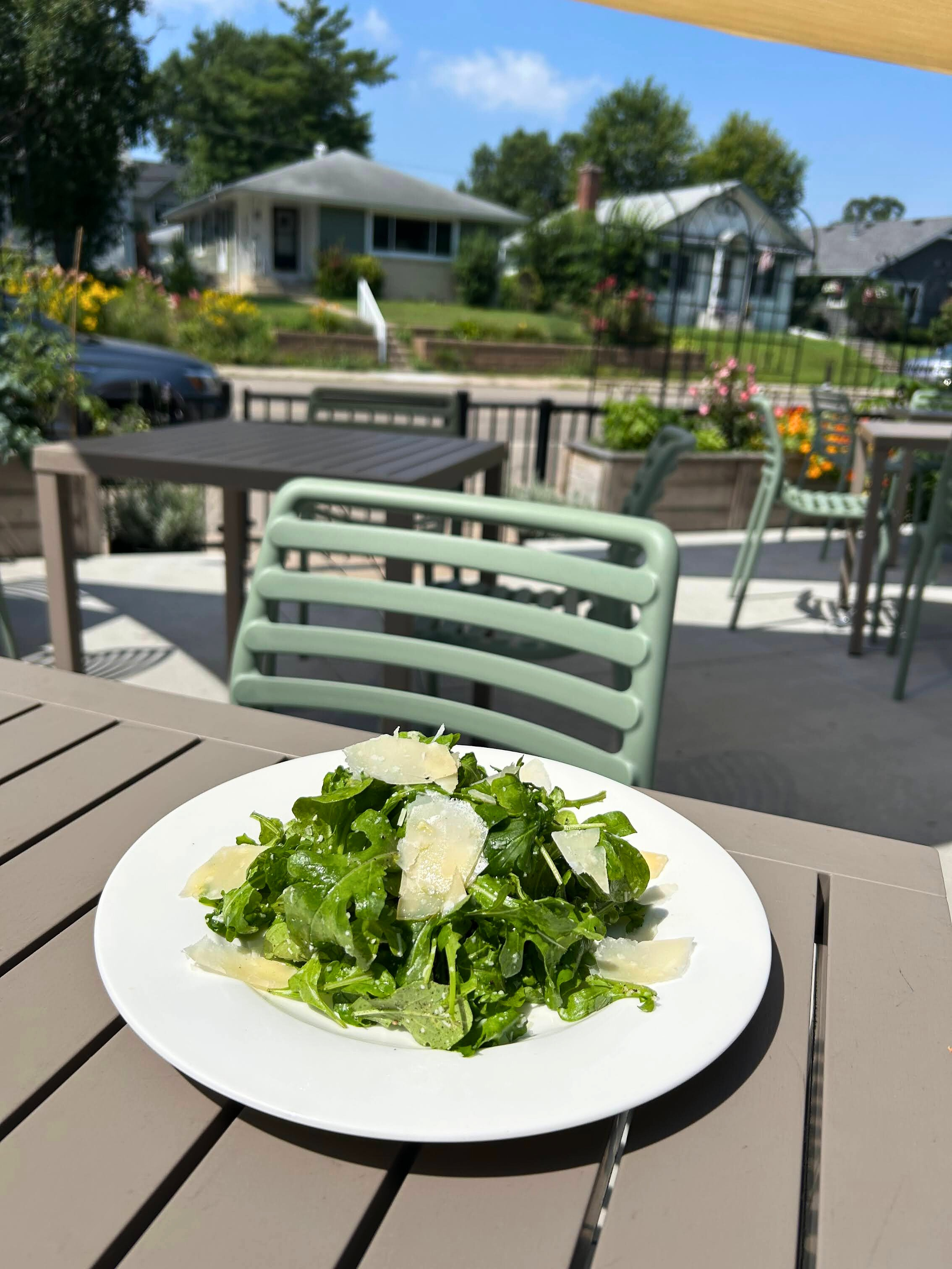 Salad-1.png