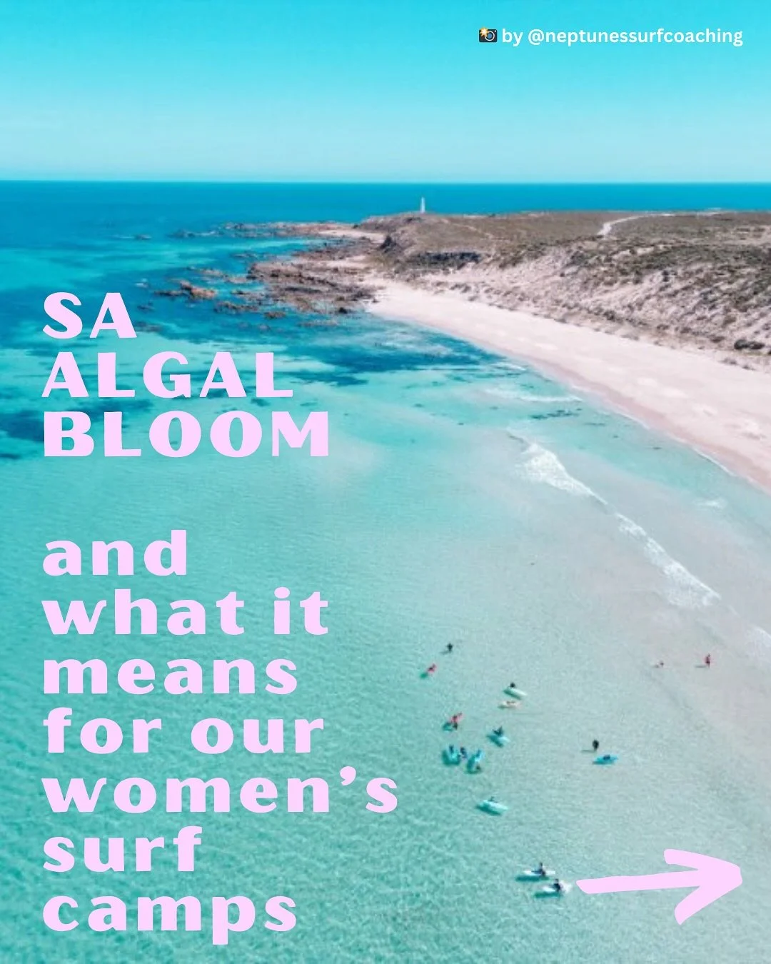 There&rsquo;s been a lot of concern about the algal bloom in SA, and with good reason. Seeing this mass loss of life on Sea Country is nothing short of devastating, and climate change right in front of our eyes. 

Of course it has also felt close to 