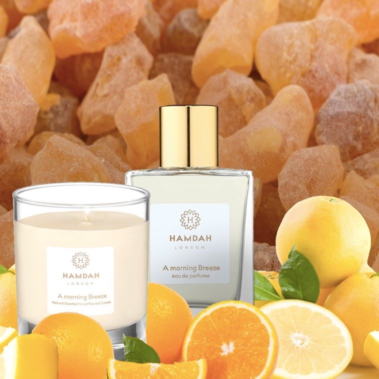 Ingredients of Hamdah London Luxury Bespoke Natural A Morning Breeze Unisex eau de Perfum with Citrus and Marine for Men and Women in a Glass Spray Bottle and Hand Poured Scented Soy Wax Candle