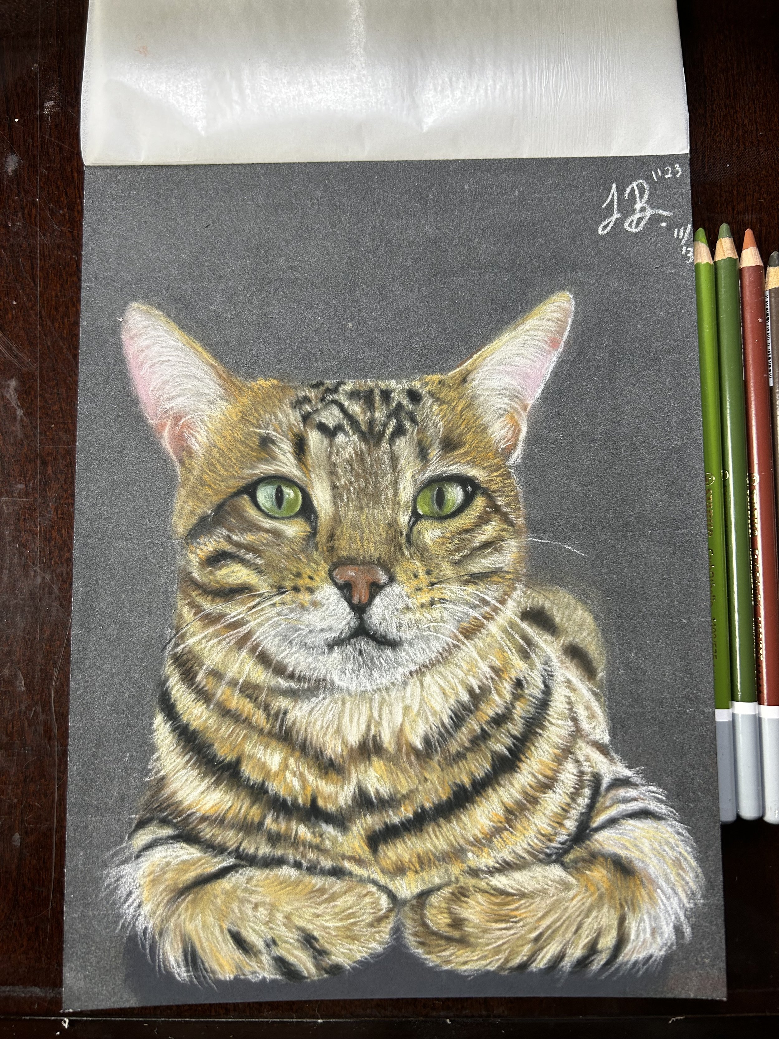 First cat | Color Pastel