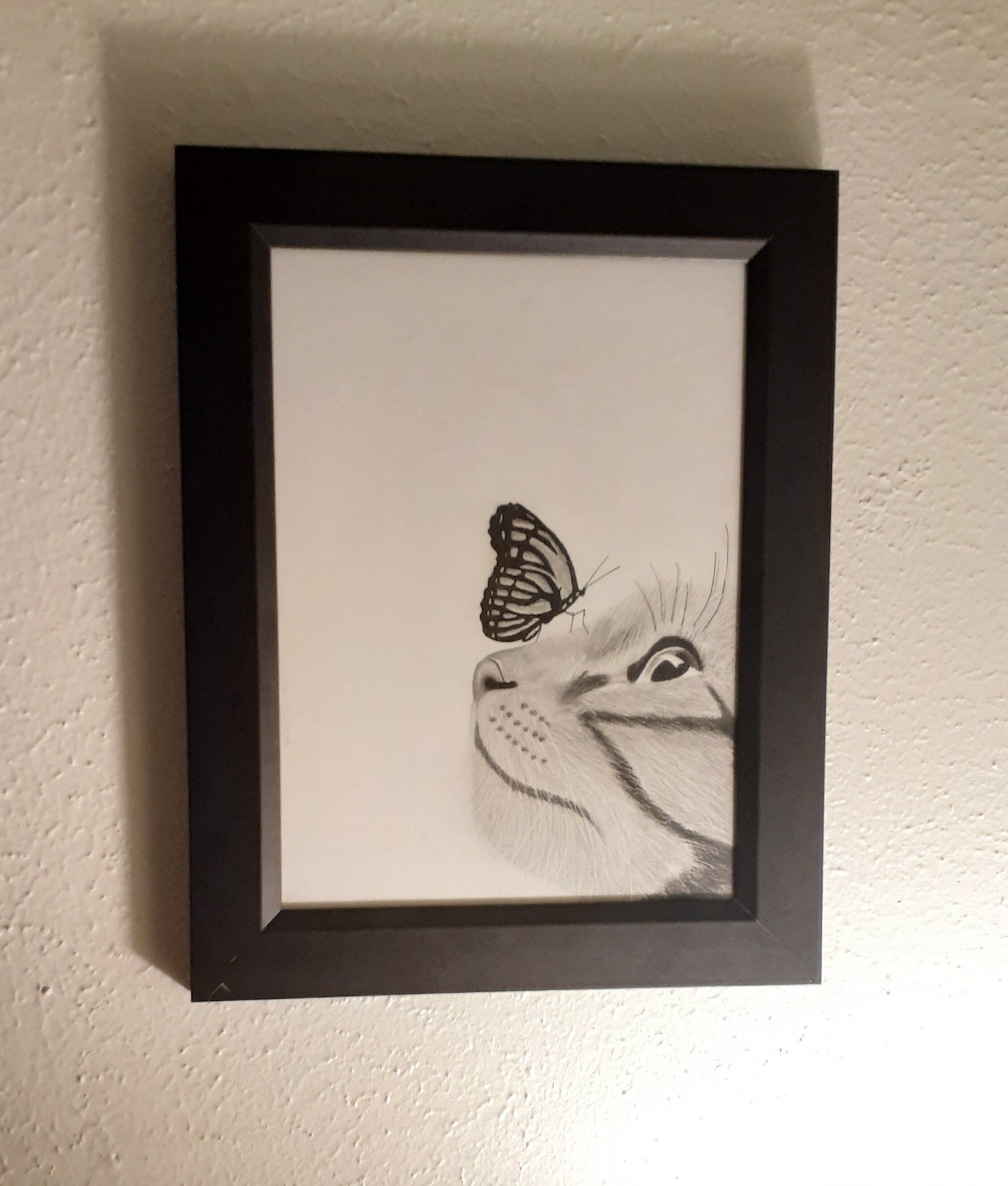 20201120_234813.jpg