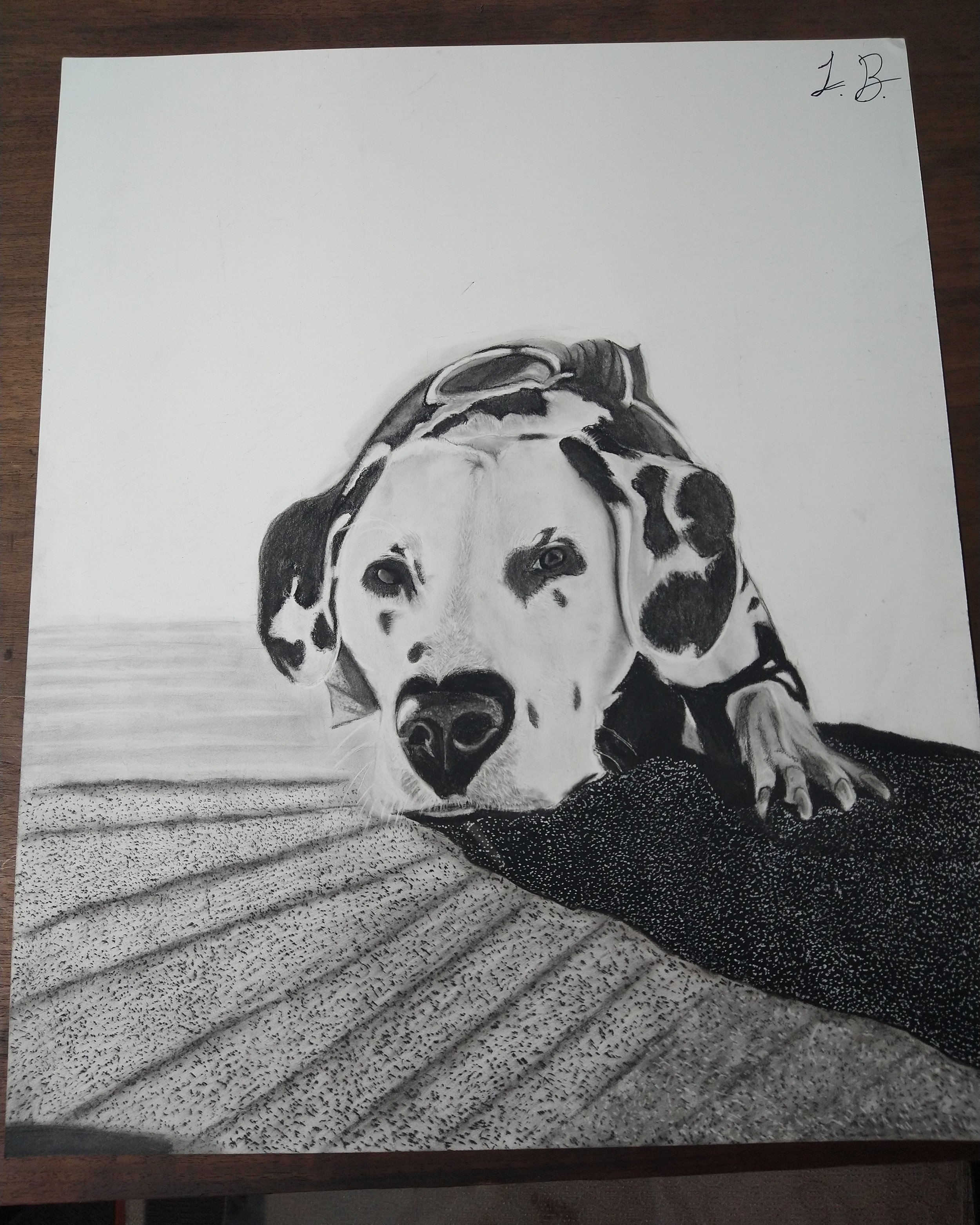 Dog Commission
