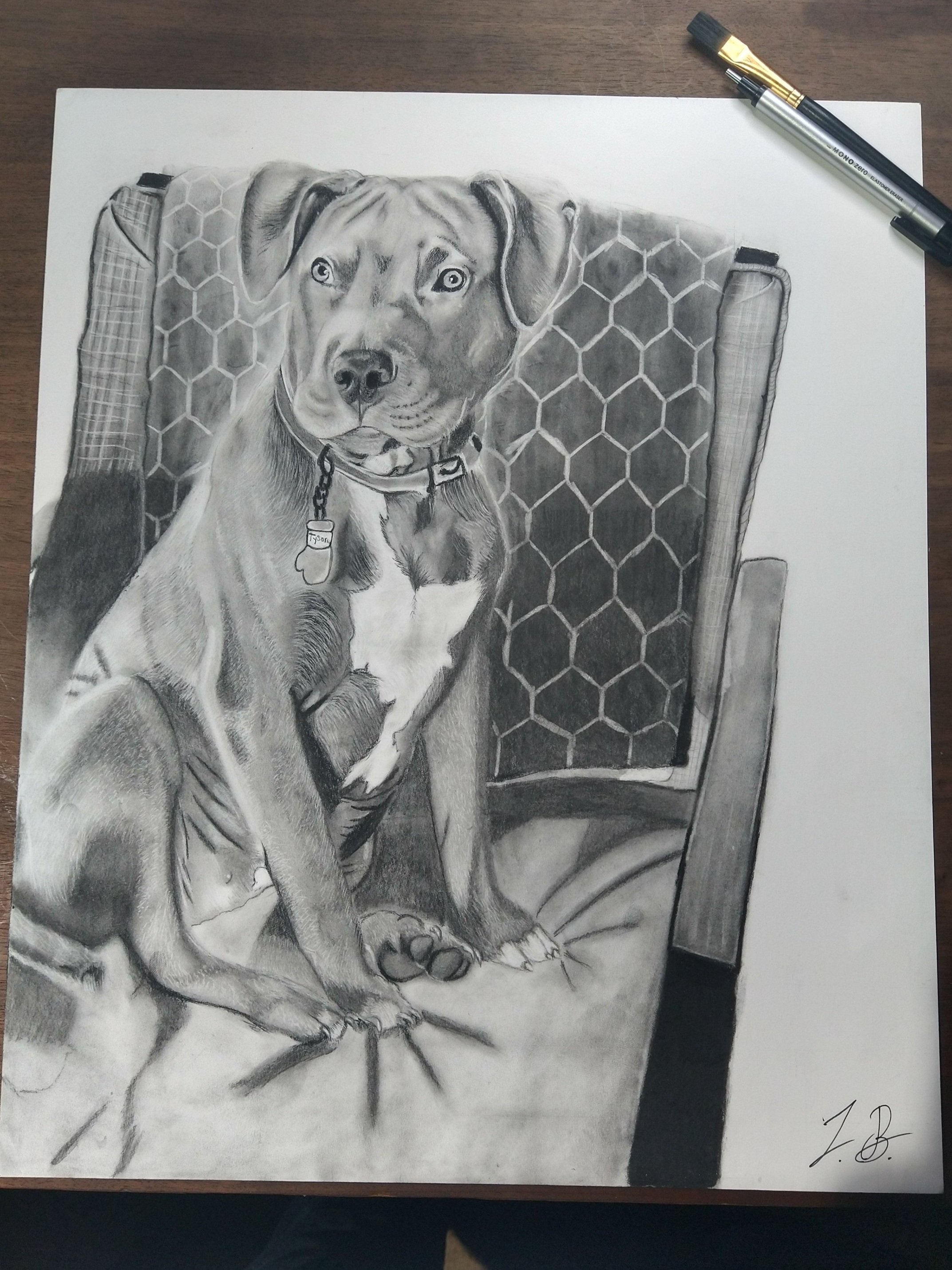 Dog Comission