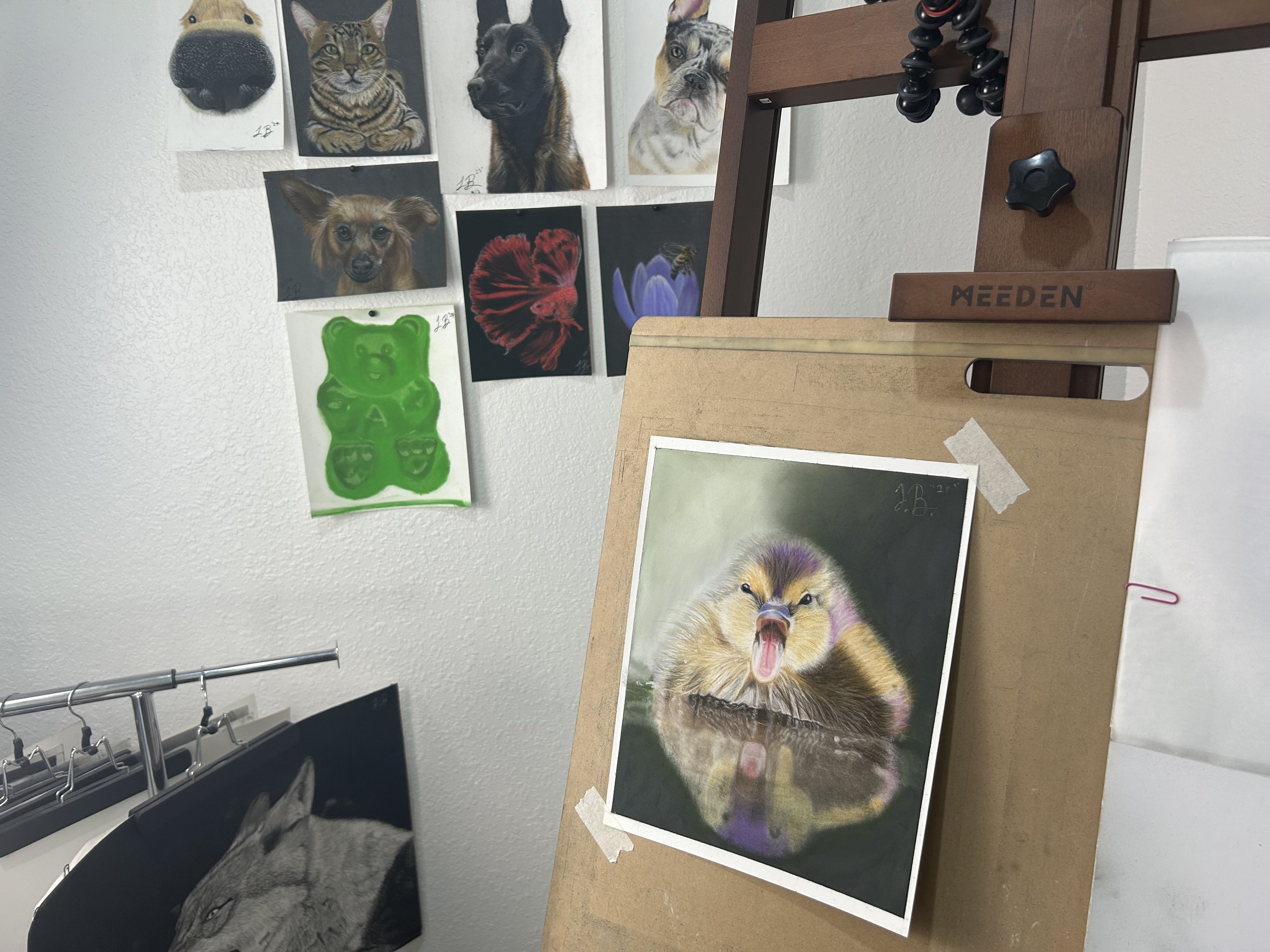 IMG_7084.jpeg