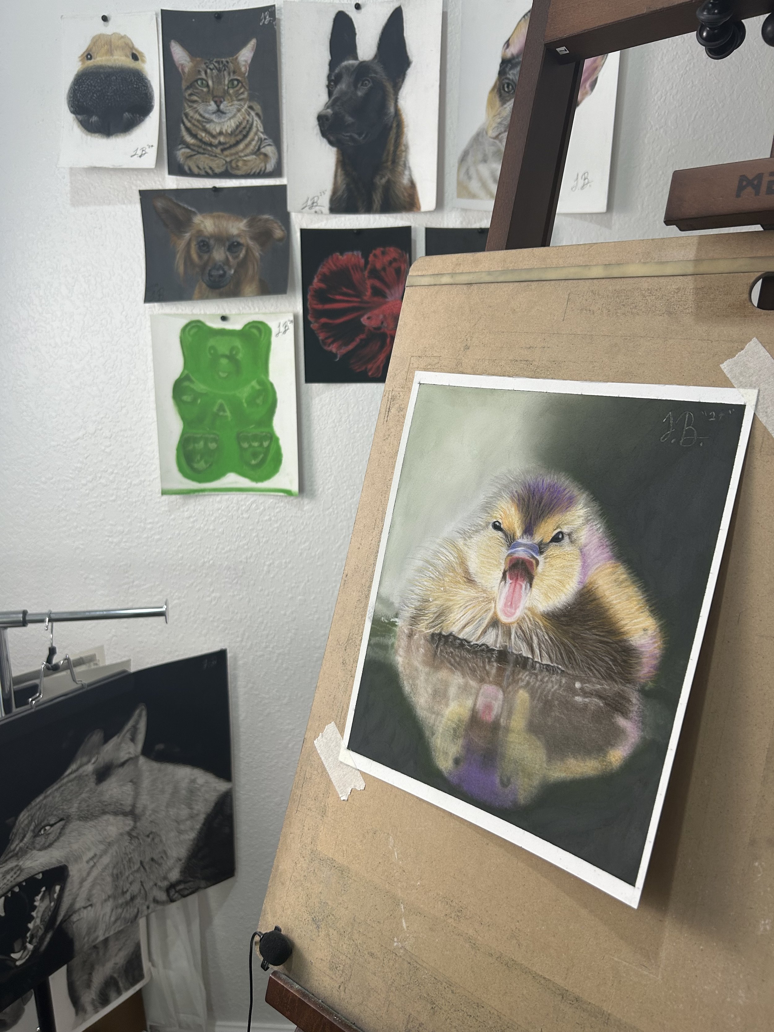 IMG_7079.jpeg