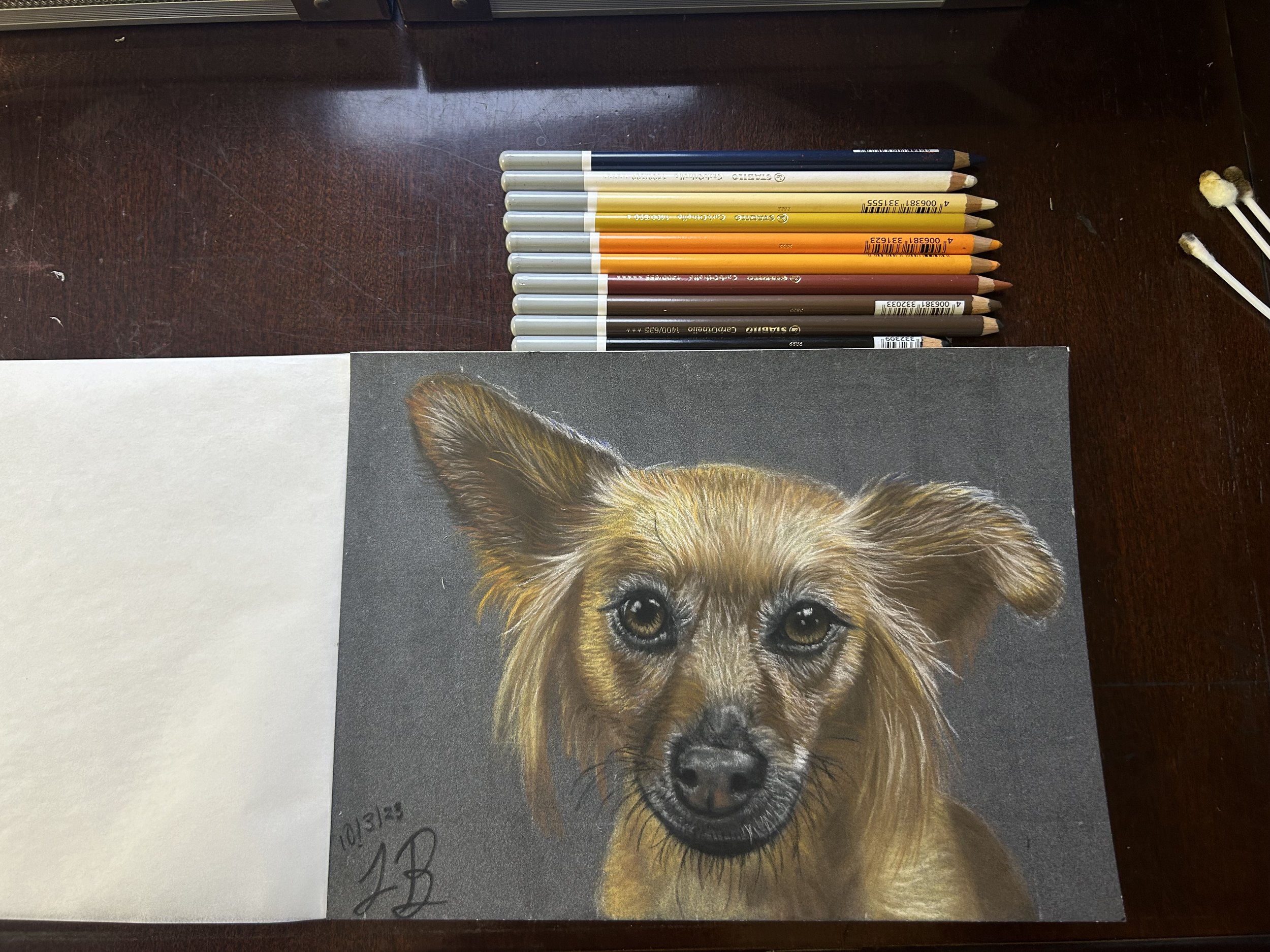 First dog portrait | Color Pastel