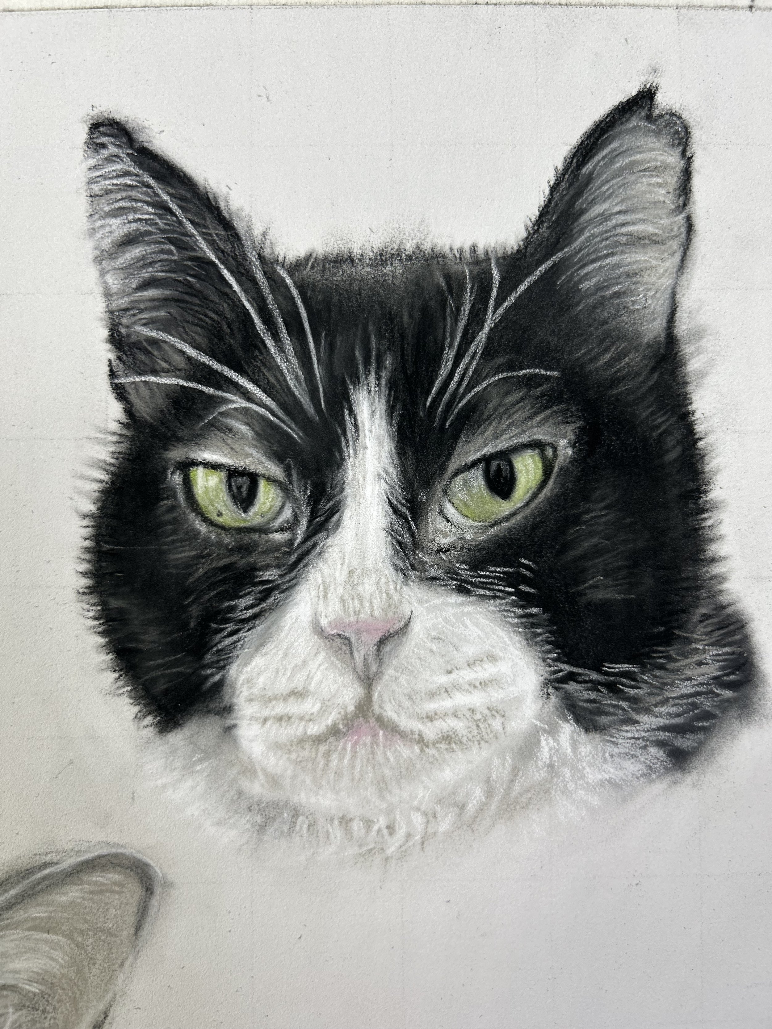 Vito