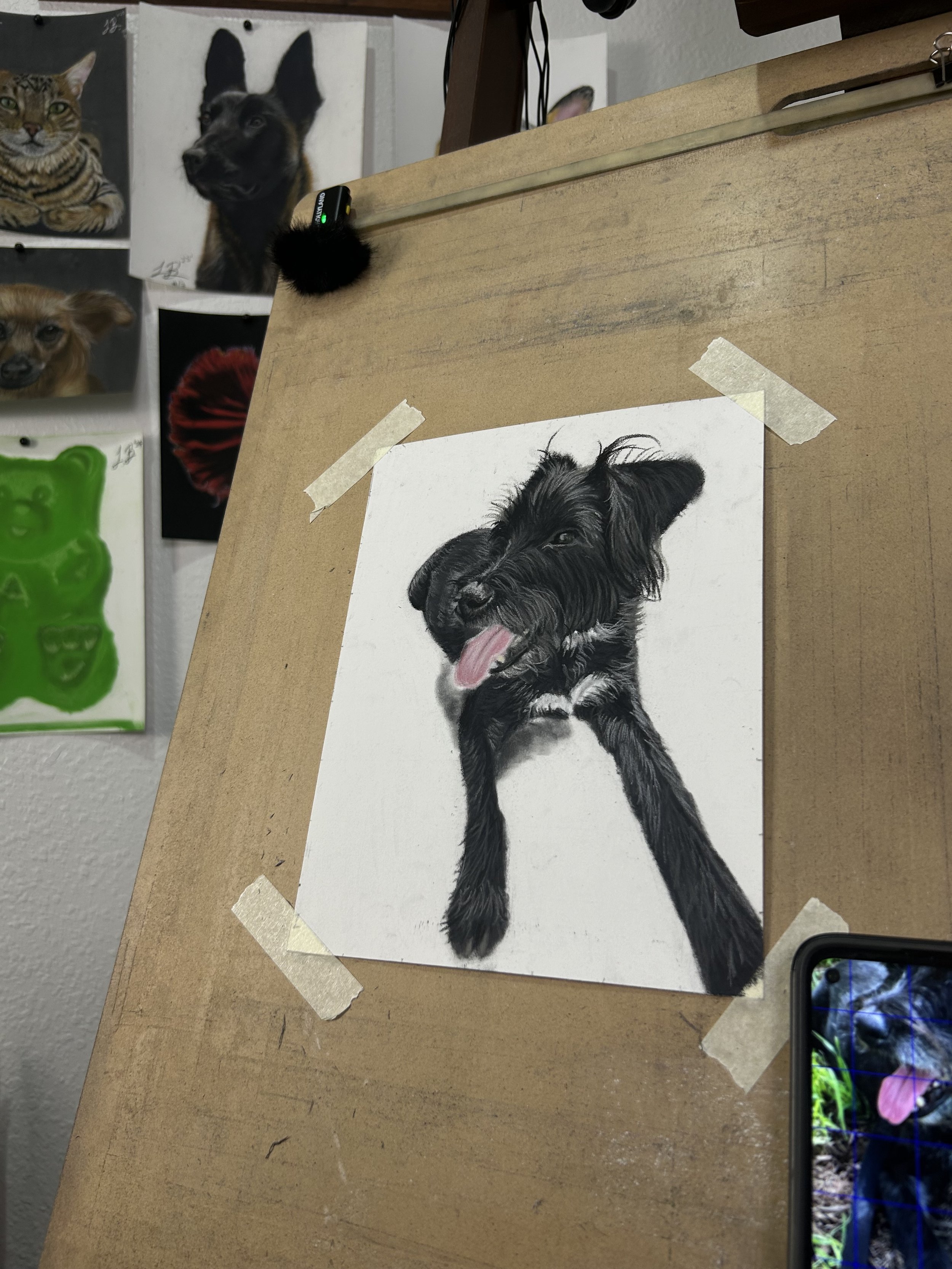 IMG_8883.jpeg