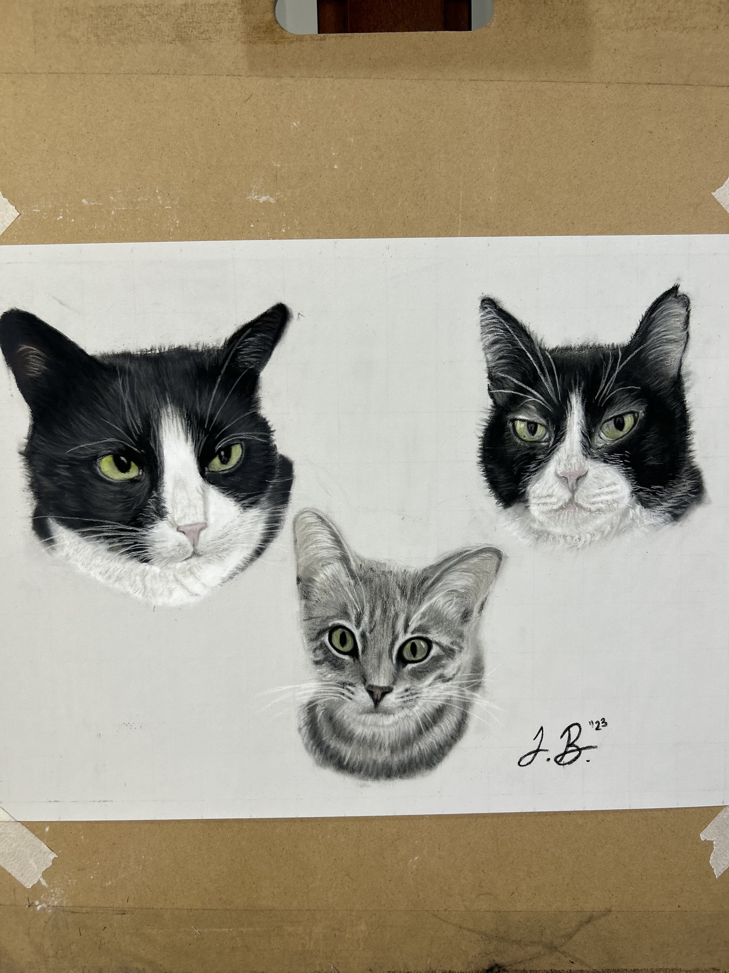 Cats