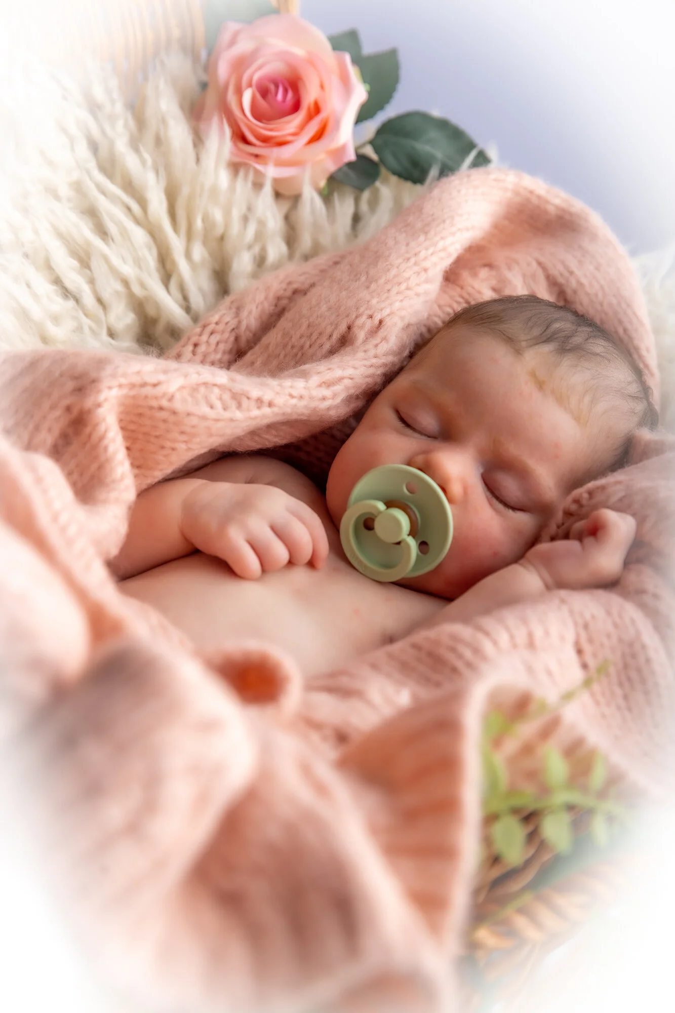 Baby Olive JPEGS-39.jpg