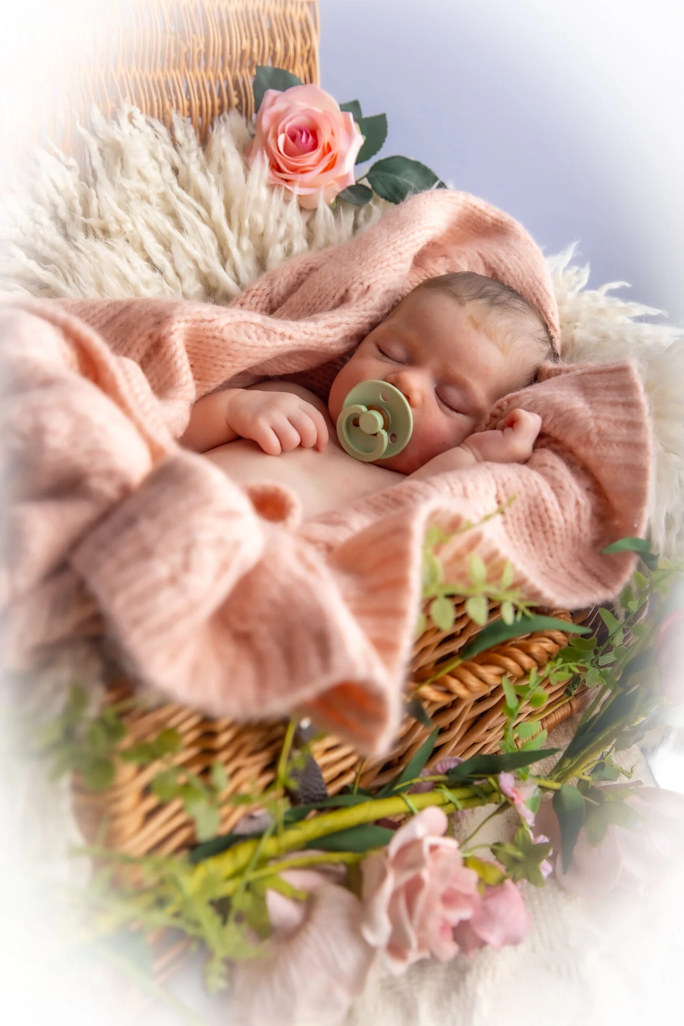 Baby Olive JPEGS-40.jpg