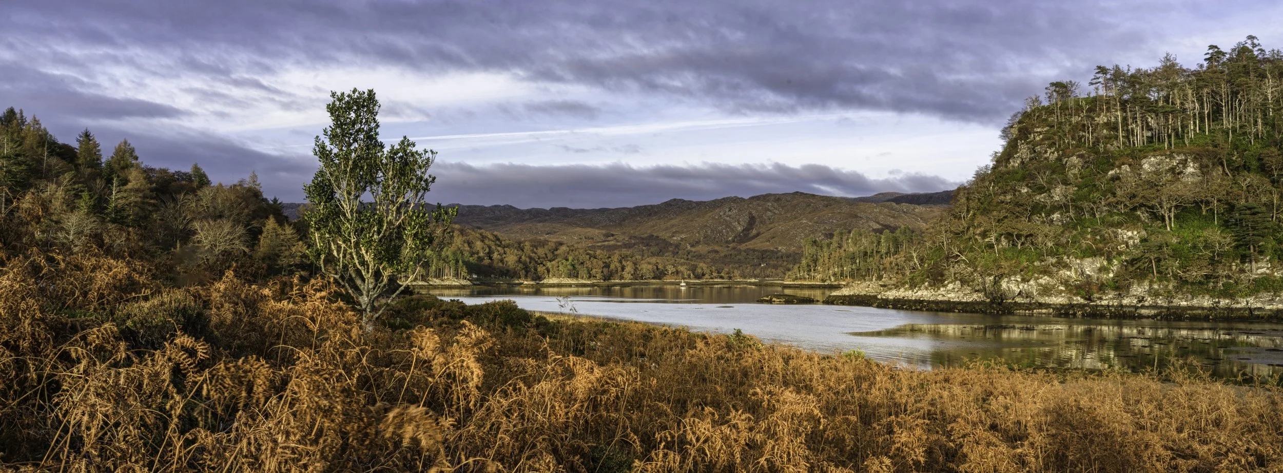 View from Castle Tioram