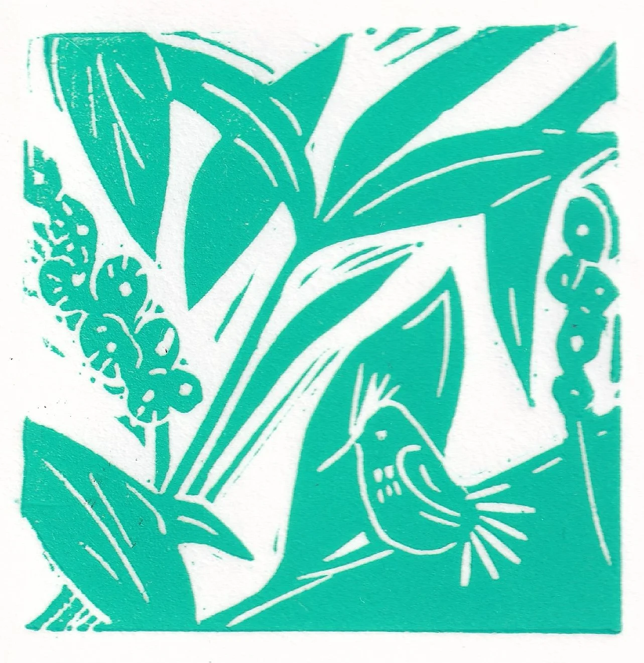In the tropics card.jpg