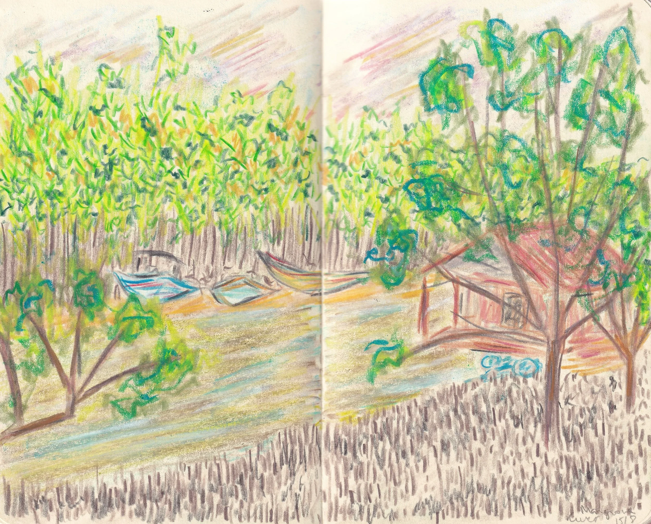 Mangrove Forest .jpg