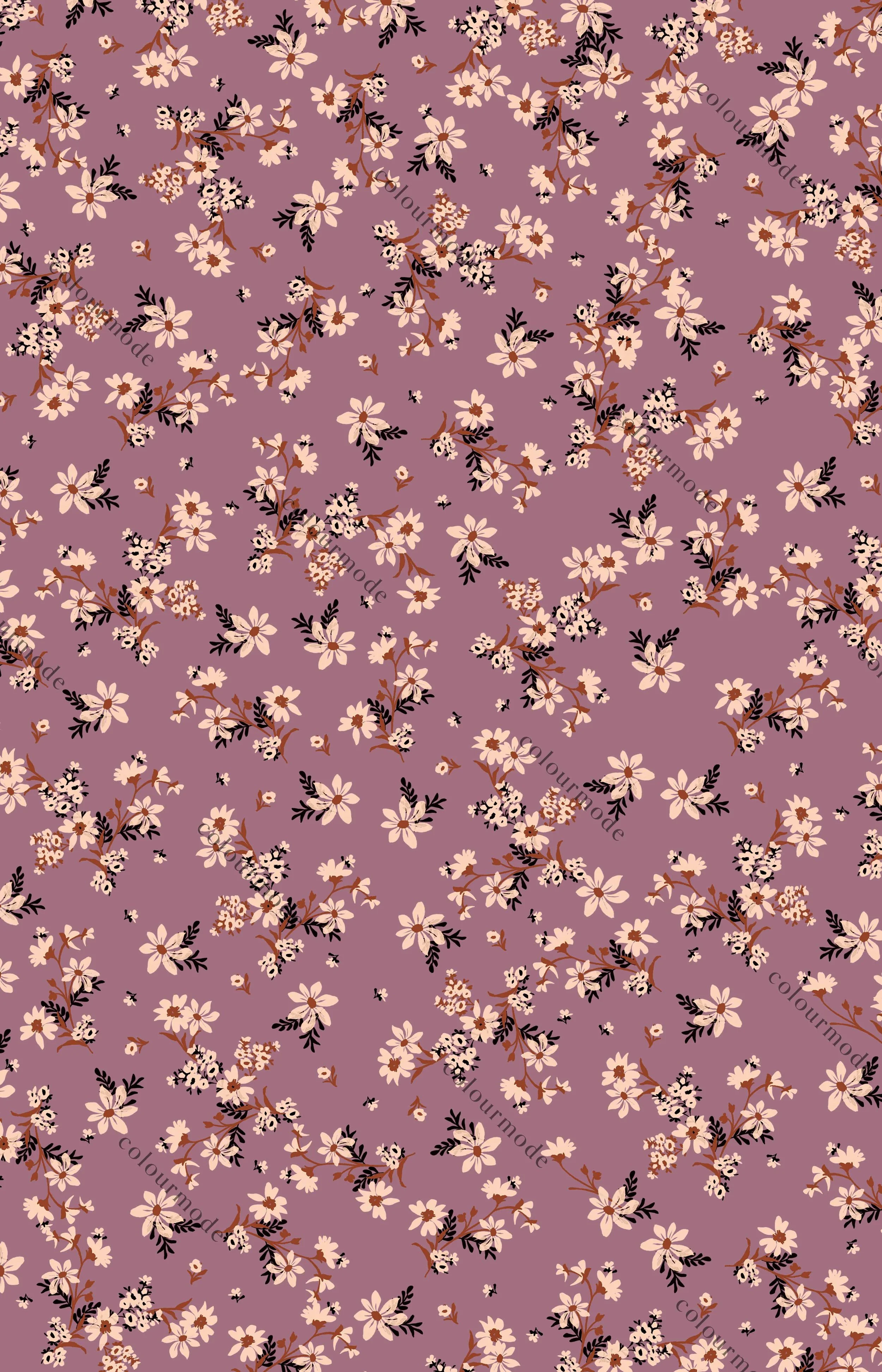 1690