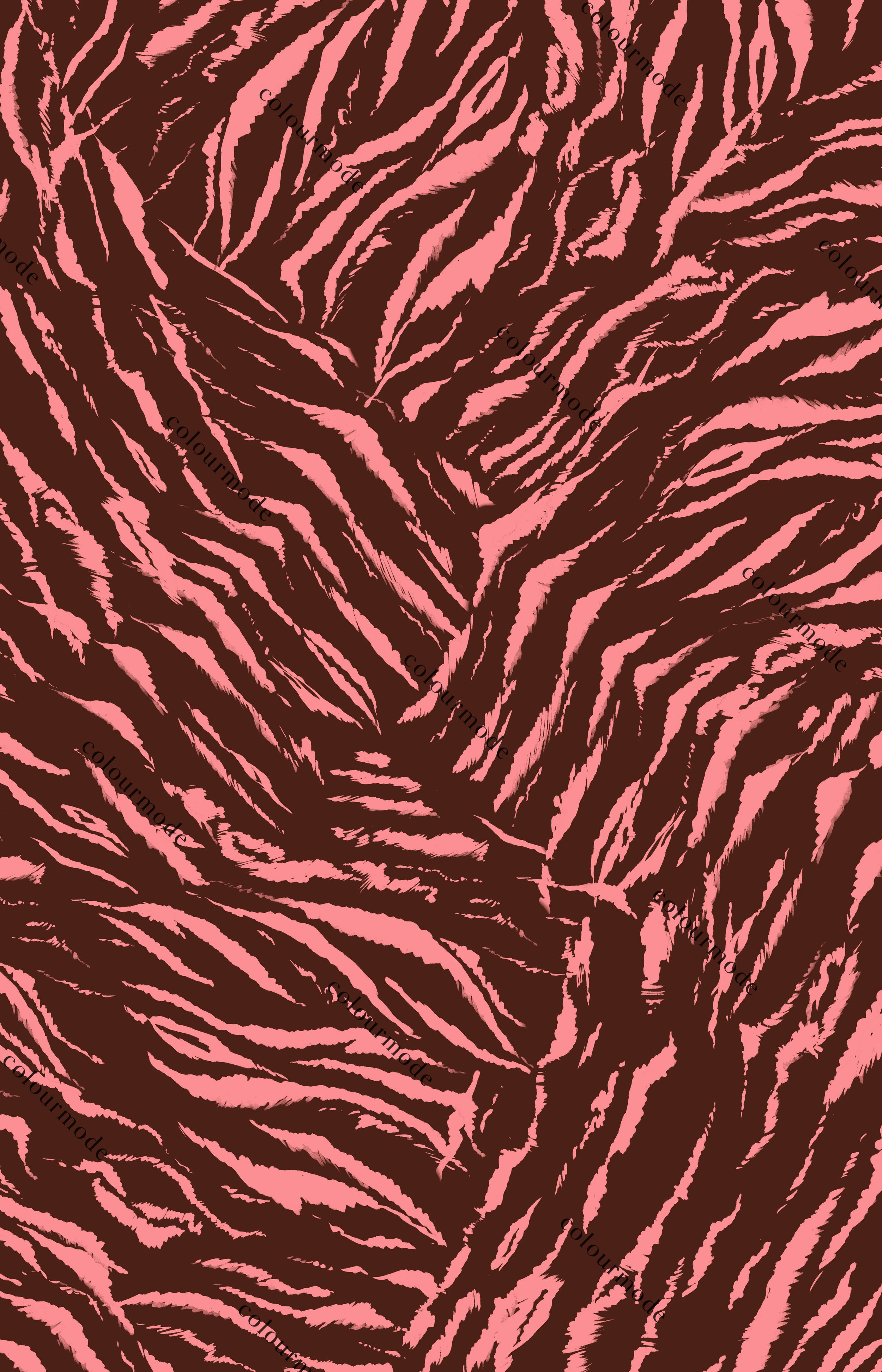 677
