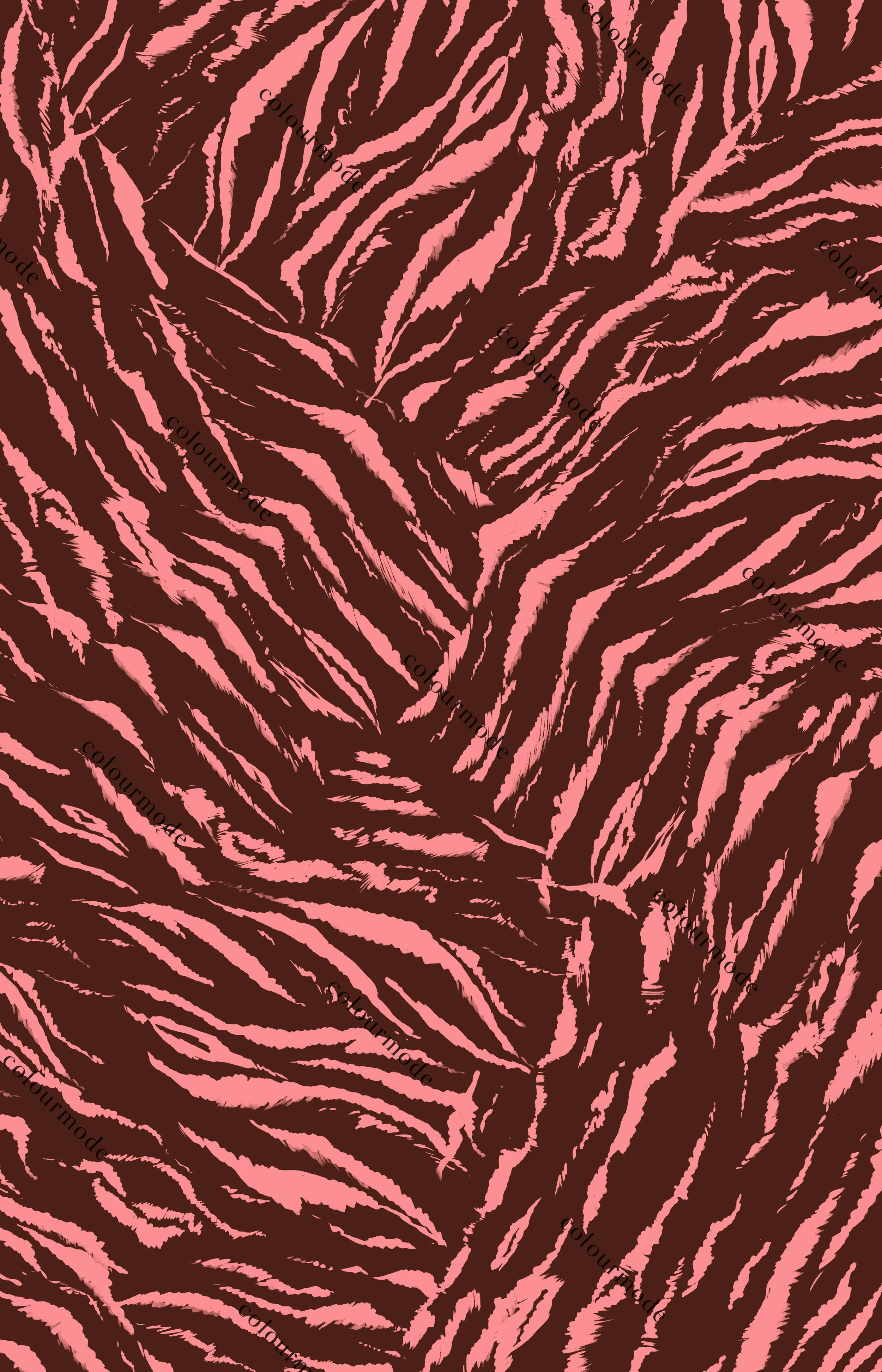 cm677.jpg