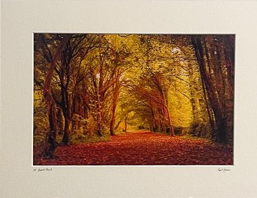 St Anne's Park, Raheny