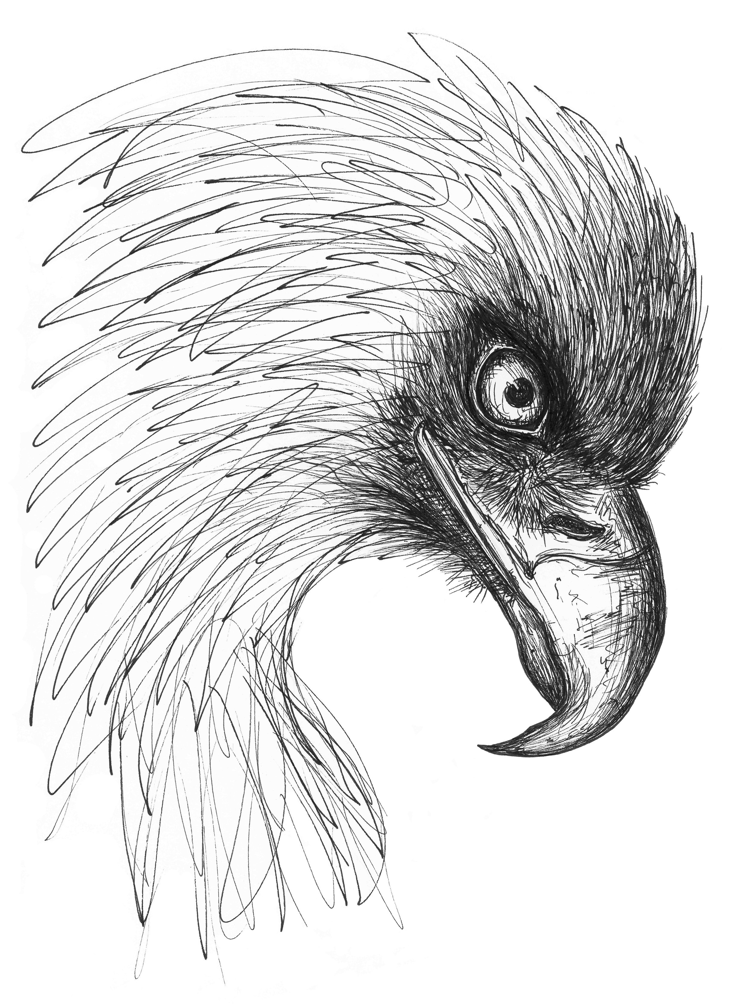 AnimalSouls_circle1 kopier.jpg