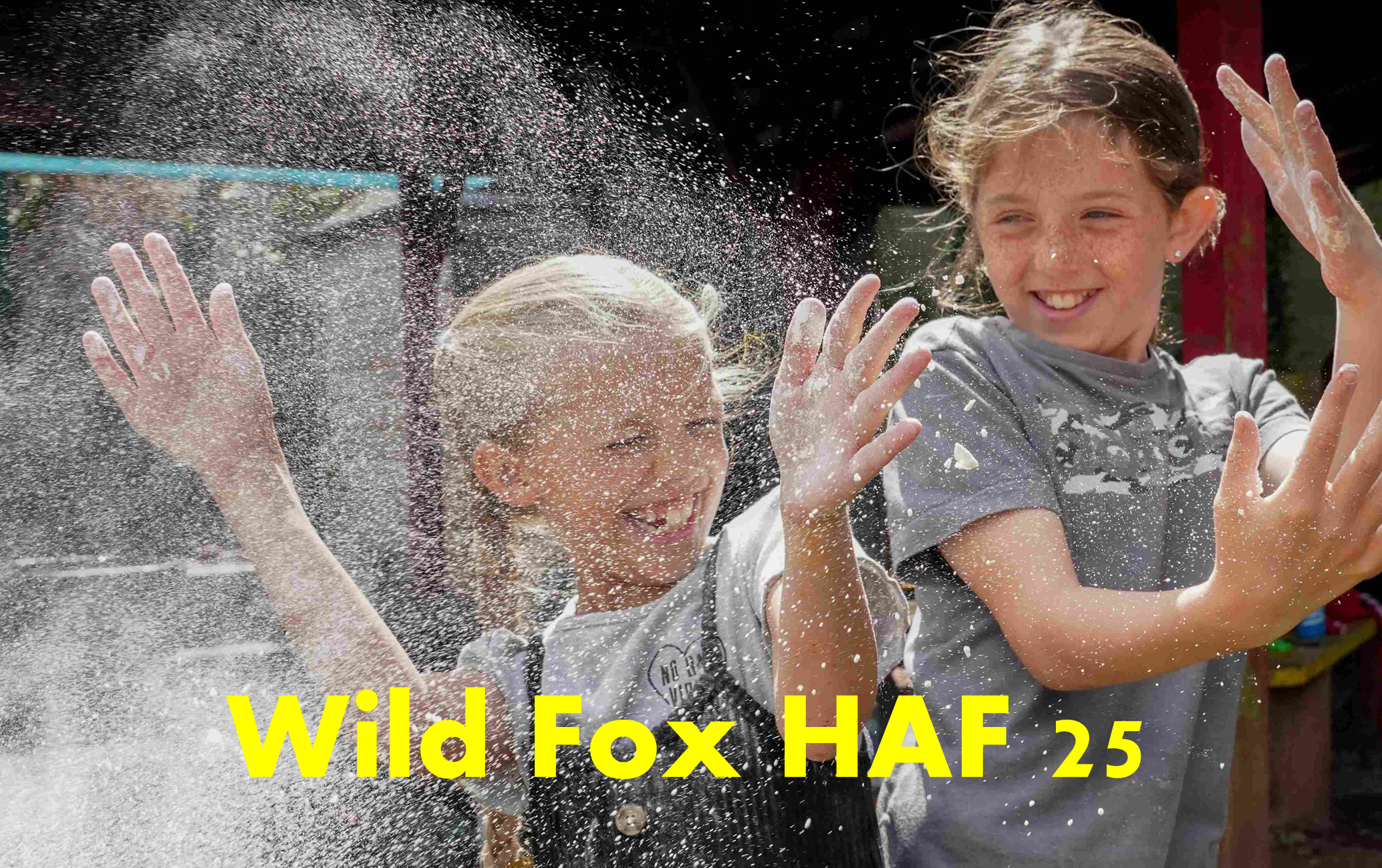 Play Torbay Wild Fox HAF